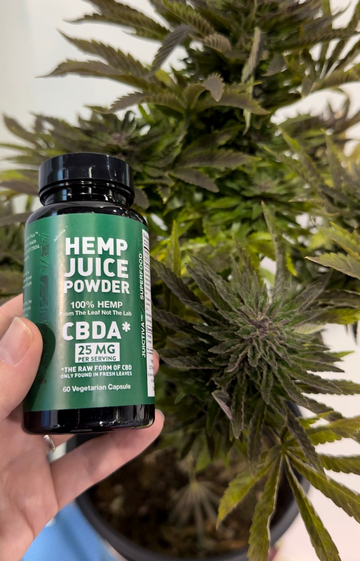 Hemp Juice- Juicetiva